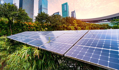 Sustainability Image