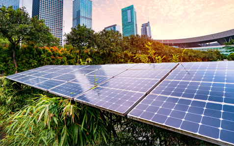 Sustainability Image