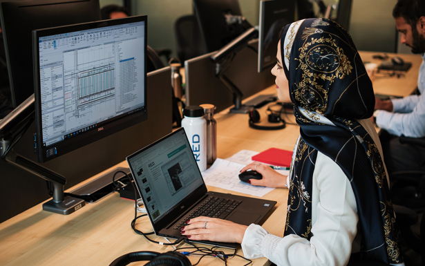 Report & Advisory Image