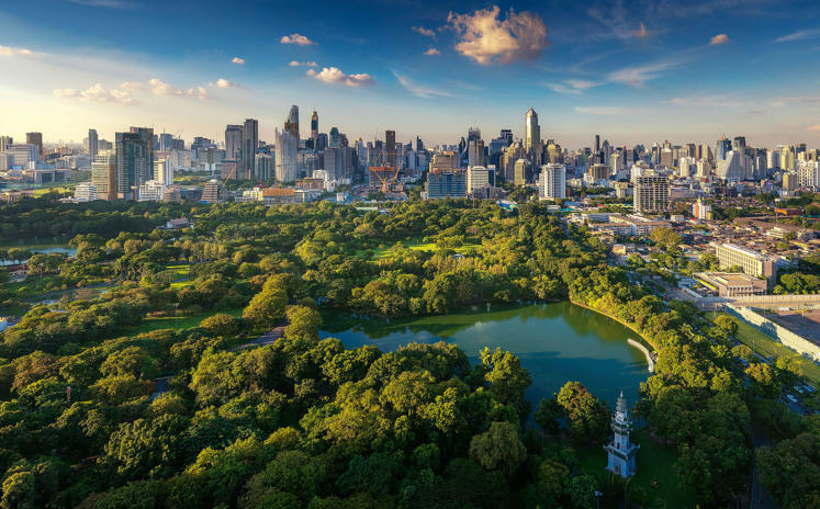 Impact Consultancy Image